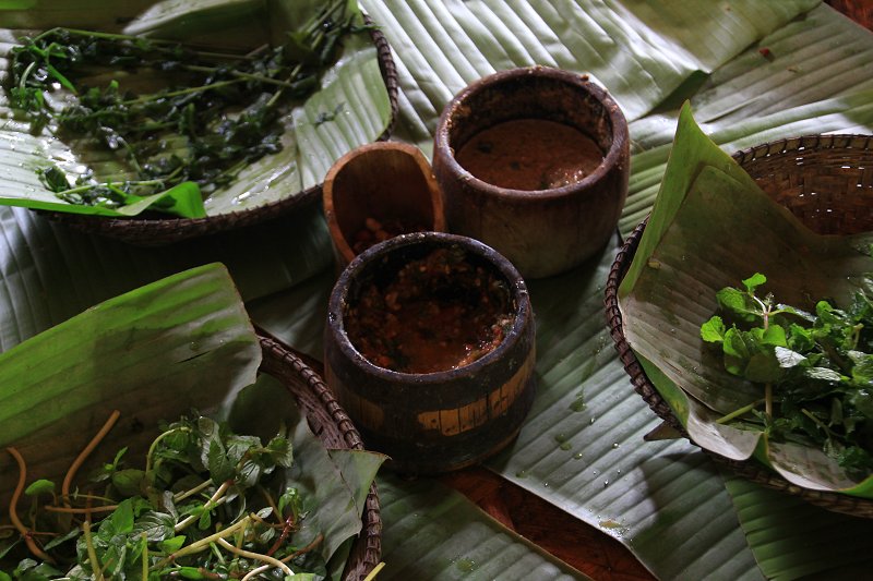 Forest herbs of the Ainu people