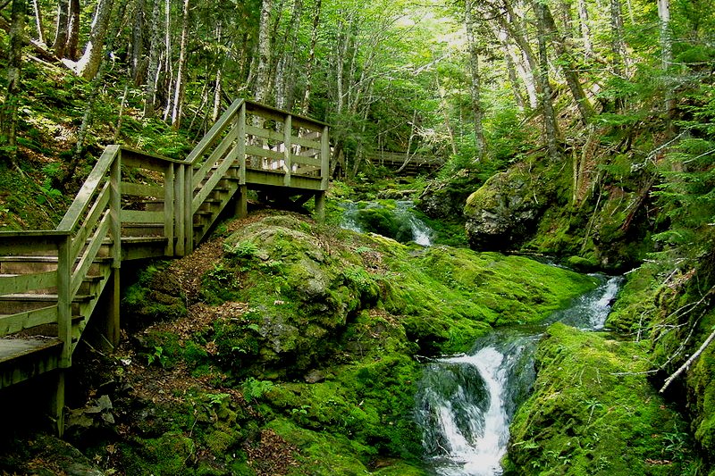 Fundy National Park, New Brunswick