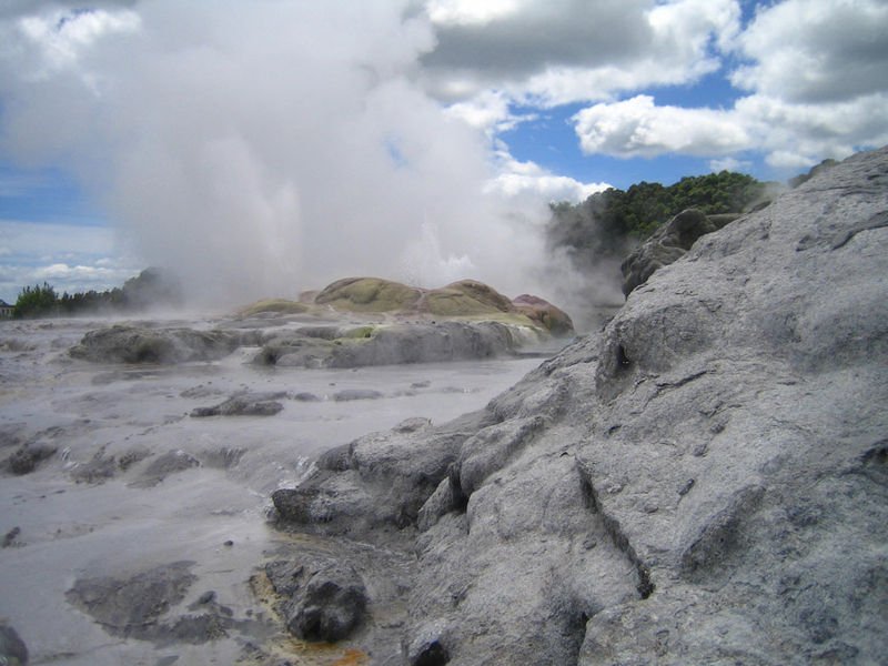 Geyser in Rotorua