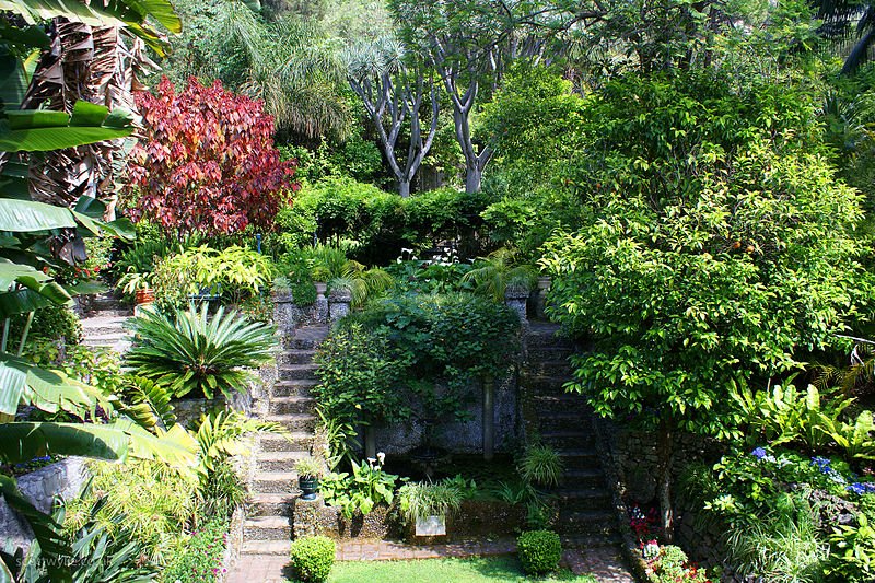 Gibraltar Botanic Gardens