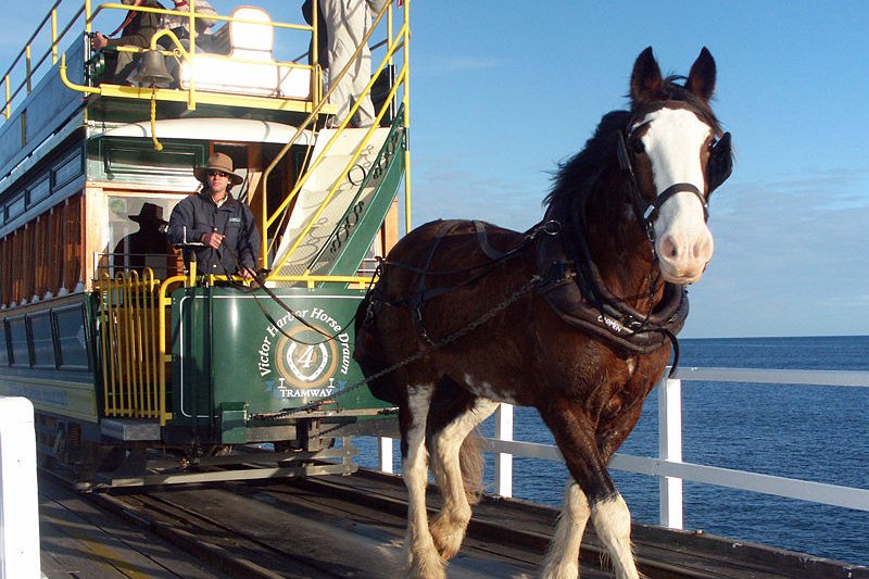 Horse-drawn tram, Granite Island