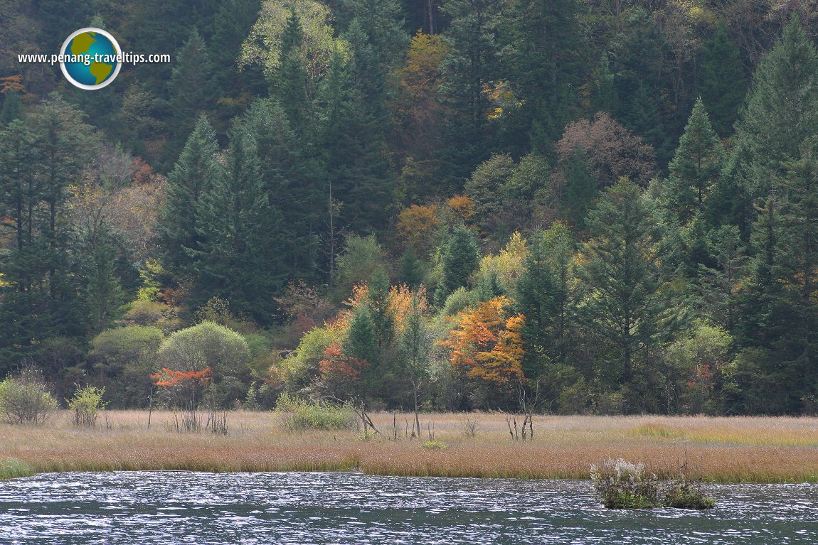 Grass Lake, Jiuzhaigou