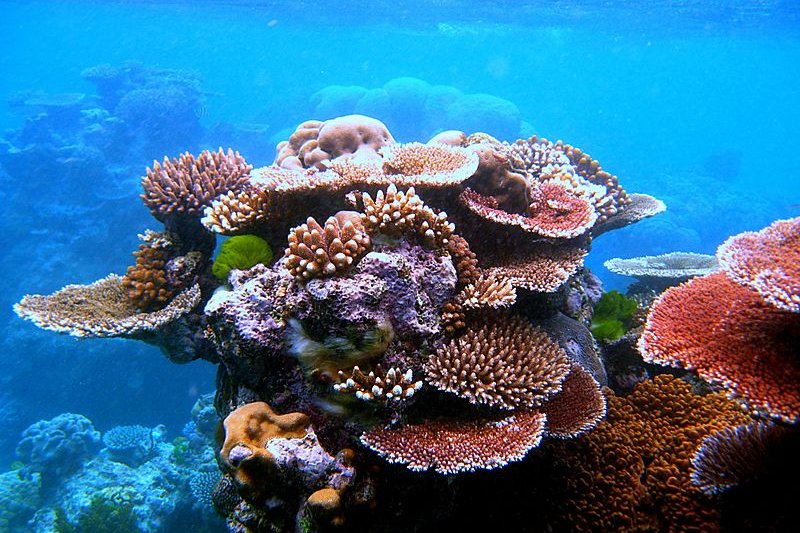 Great Barrier Reef