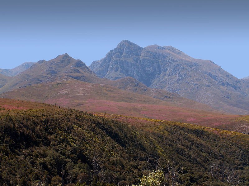 Grootvadersbosch Nature Reserve, South Africa