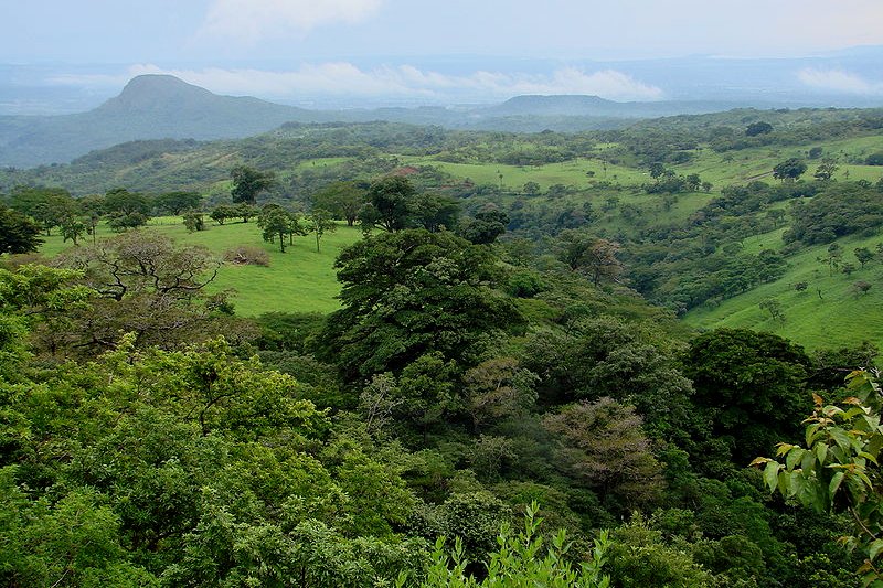 Guanacaste Conservation Area, Costa Rica