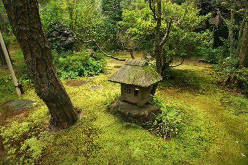 Gyokusen-en Japanese Garden in Kanazawa, Ishikawa Prefecture