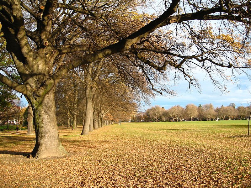 Hagley Park, Christchurch