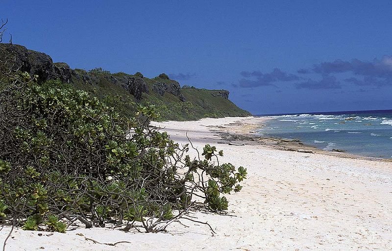 Beach on Henderson Island in Pitcairn Group of Islands