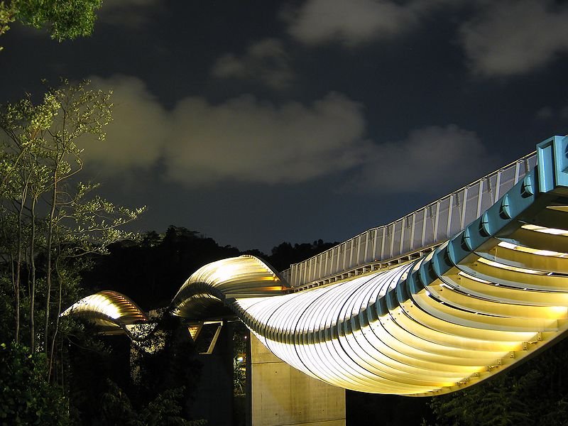 Henderson Waves Bridge