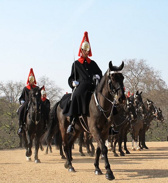 Horse Guards