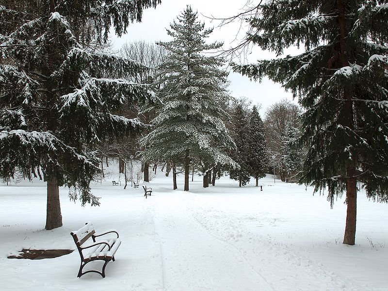 Park in Humenn&eeacute;, in eastern Slovakia, in winter