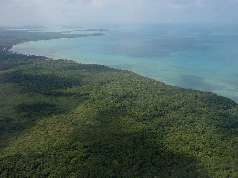 Aerial view of Ile des Pins