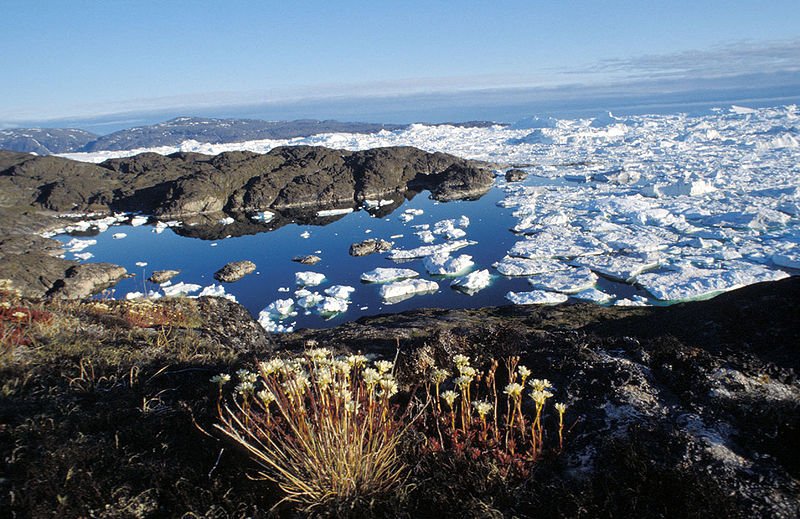 Ilulissat Icefjord, Greenland