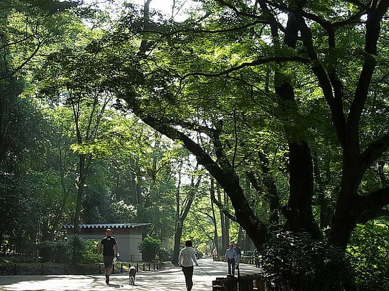 Inokashira Park in Musashino, Tokyo