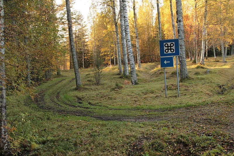 Iron Age burial ground in Dalarna County