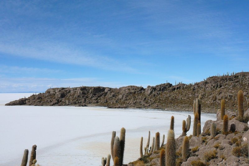 Isla del Pescado, Salar de Uyuni, Bolivia