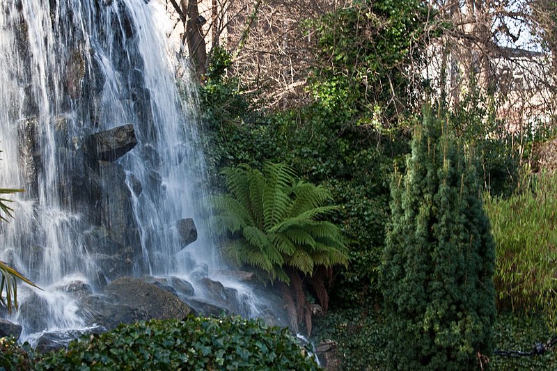 Iveagh Gardens, Dublin