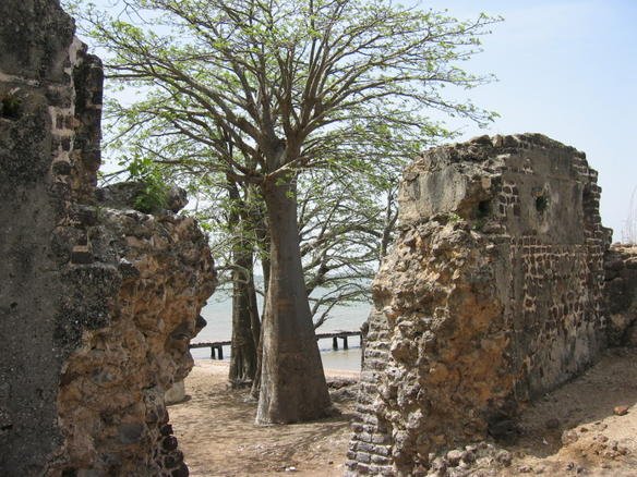 James Island in the Gambia