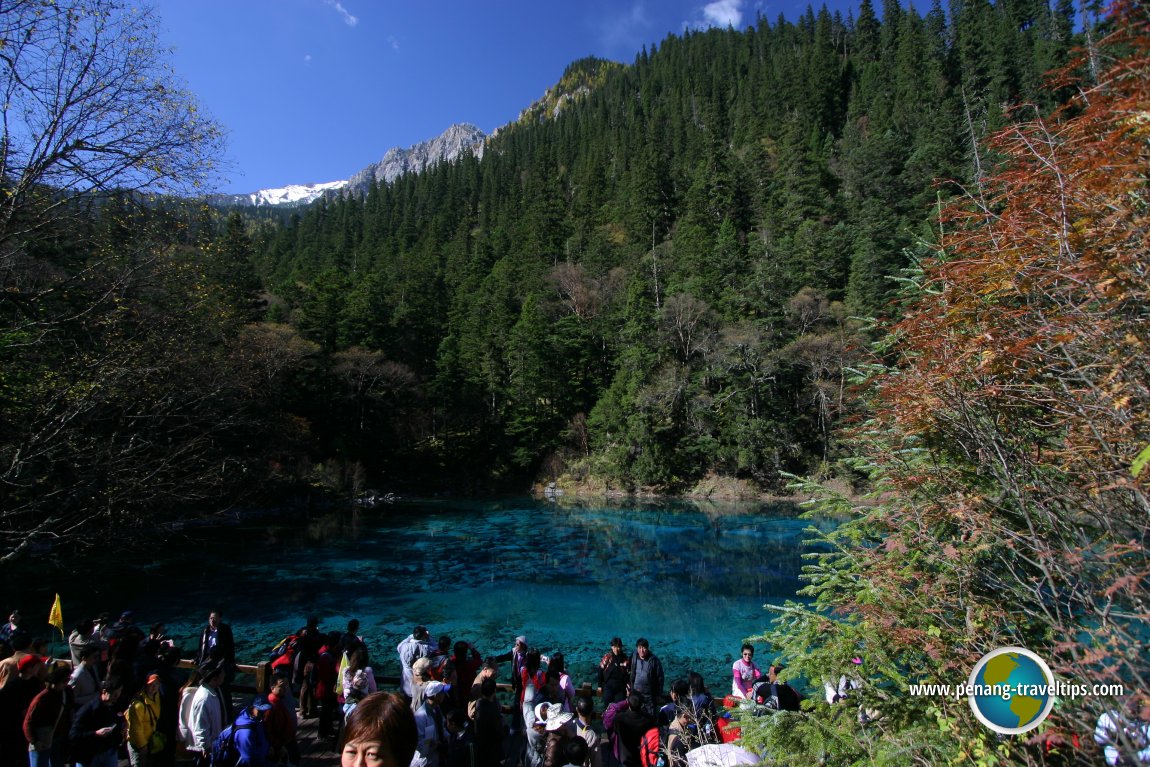 Five Colour Pond, Jiuzhaigou