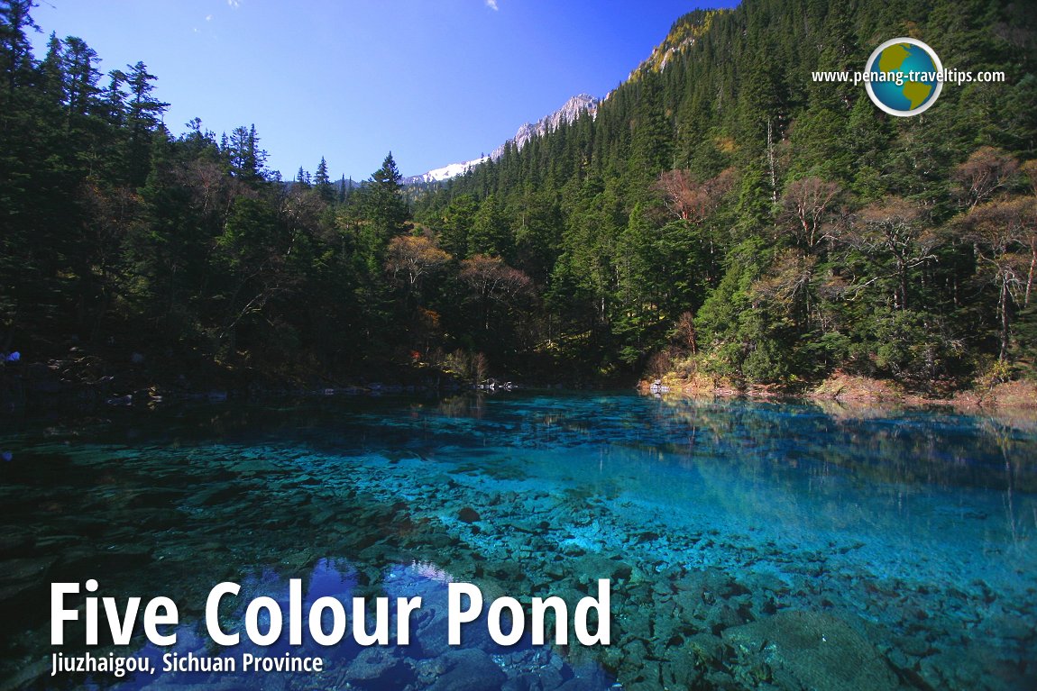 Five Colour Pond, Jiuzhaigou