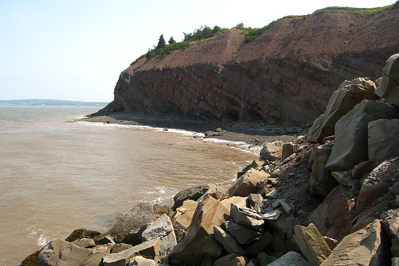 Joggins Fossil Cliffs