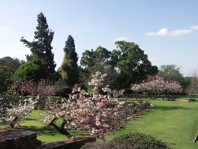 Johannesburg Botanical Garden