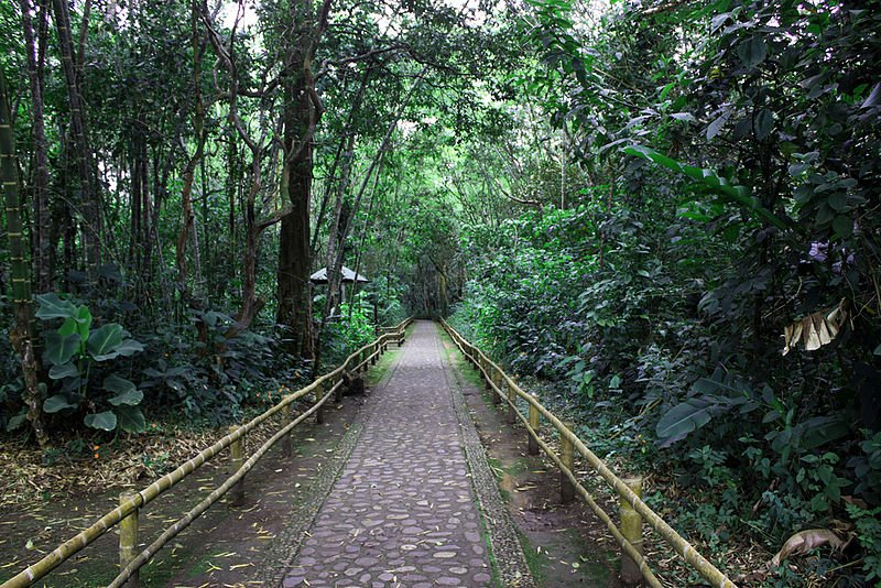 San Agustin Archaeological Park, Colombia