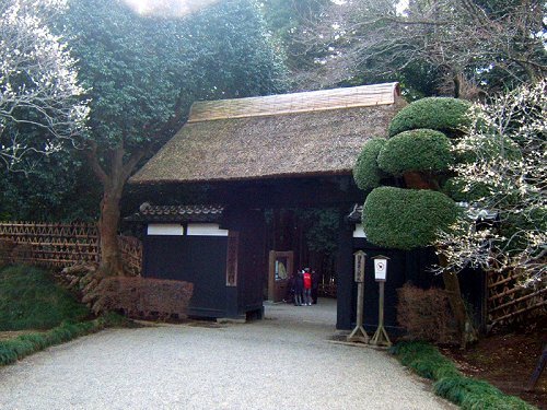 Kairakuen Park, Mito City, Ibaraki Prefecture