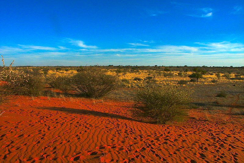 Kalahari Desert, Botswana