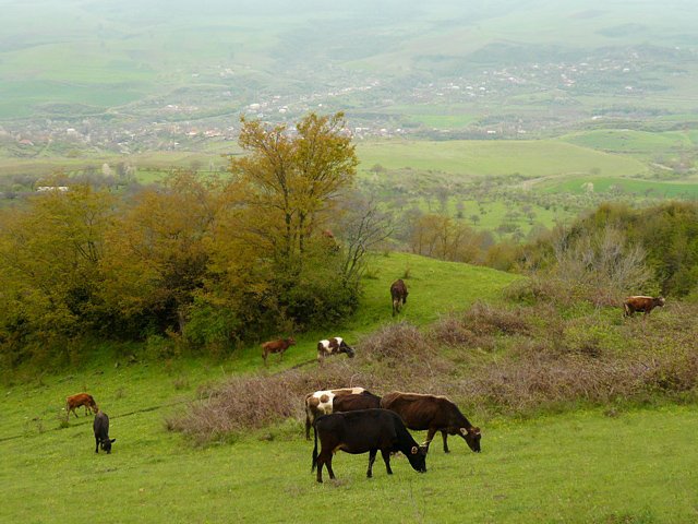 Scenery in Karmir Shuka, a village in Nagorno-Karabakh