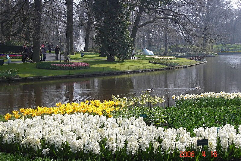 Keukenhof Gardens, Netherlands