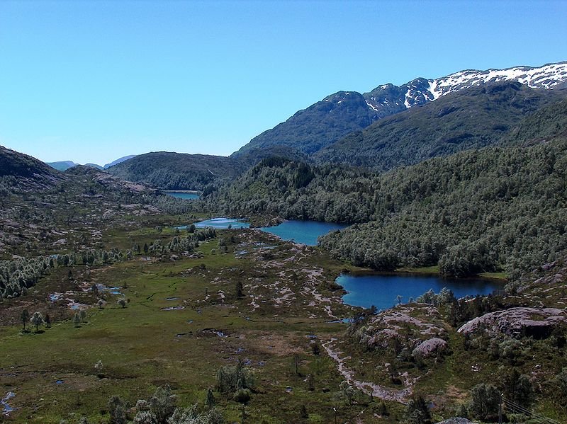 Kraamyrane Naturreservat, Bergen