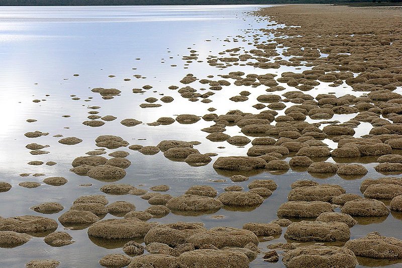 Lake Clifton