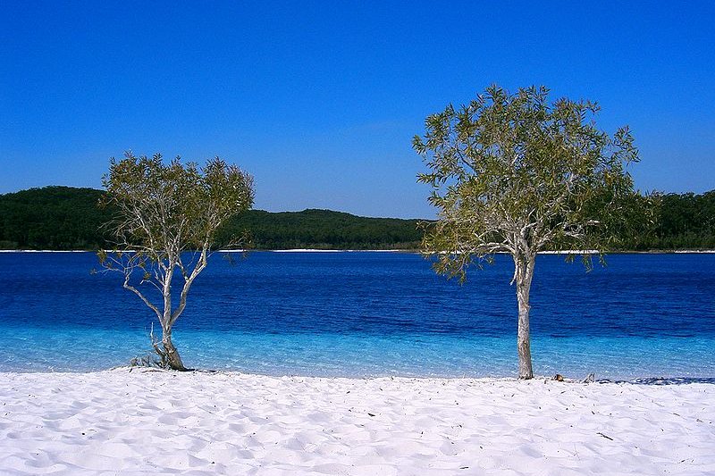 Beach of Lake McKenzie