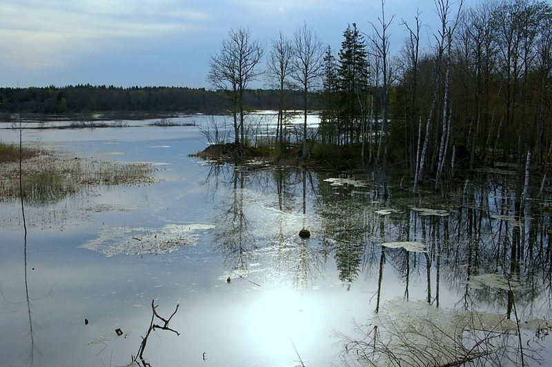 Lake Rosenkälla, Linköping