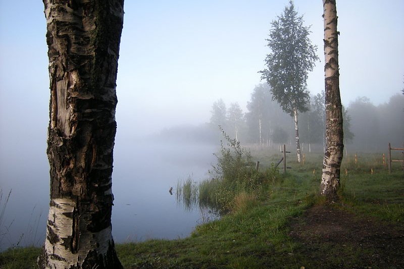 Lakeside at Borlänge in the morning