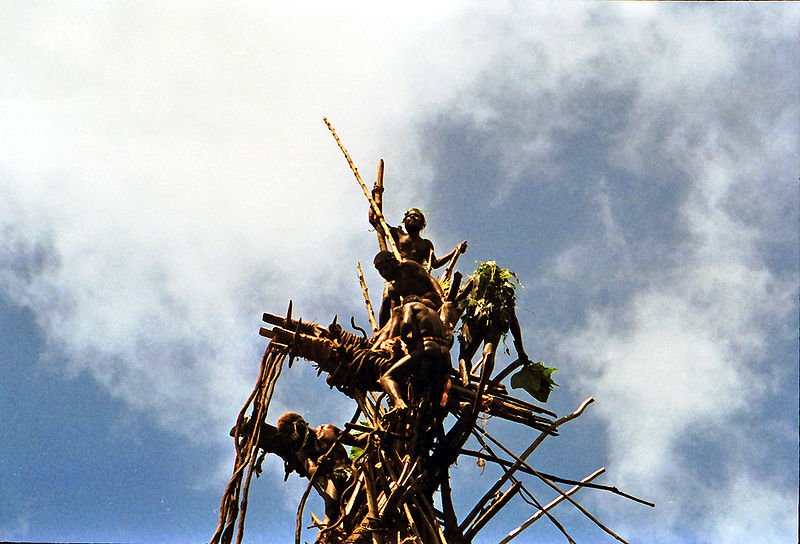 Landdiving ritual by Pentecost Islanders, Vanuatu