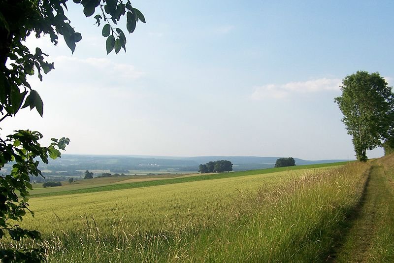 Landscape of Ardennes