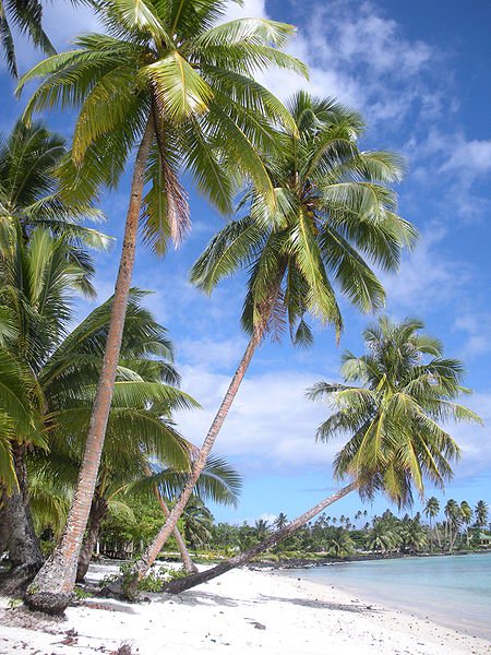 Lefaga village on Upolu Island, Samoa