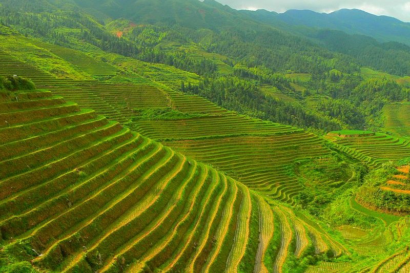 Longji Terraces, one of Longsheng Rice Terraces