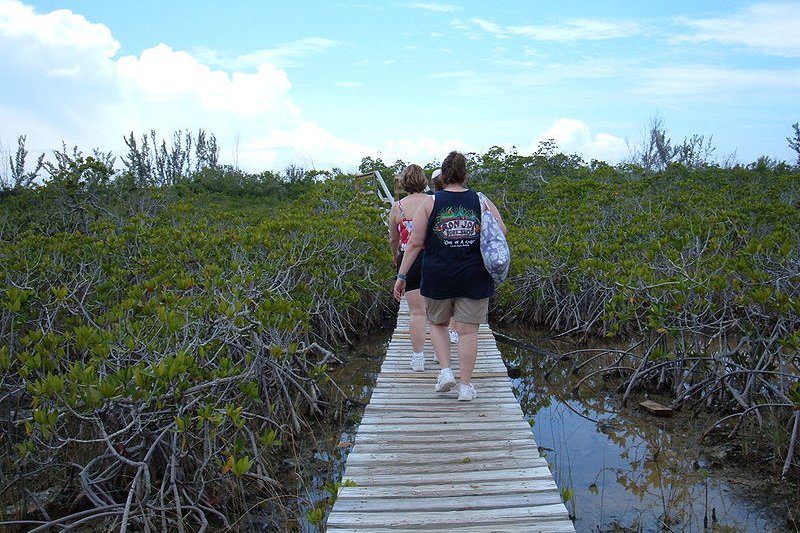 Lucayan National Park, Grand Bahama