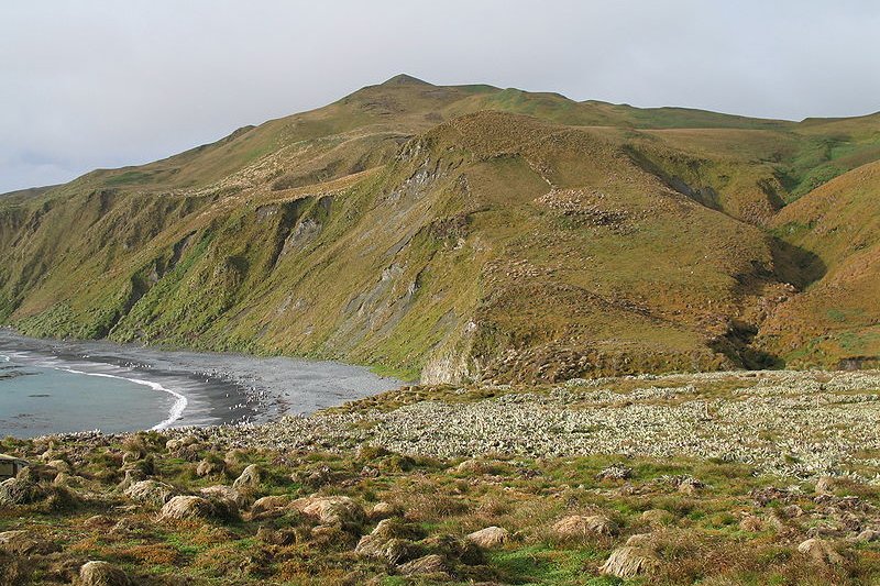 Macquarie Island