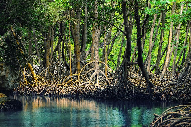 Los Haitises National Park, Dominican Republic