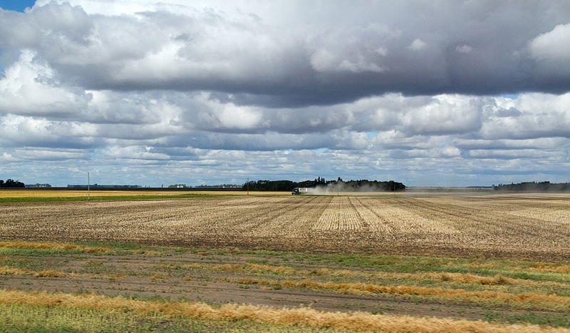 Manitoba landscape