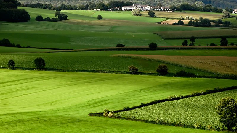 The farmland in Mergelland, Netherlands