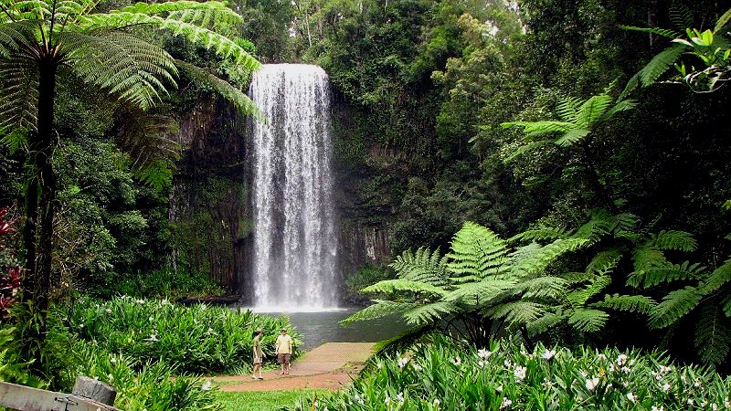 Millaa Millaa Falls