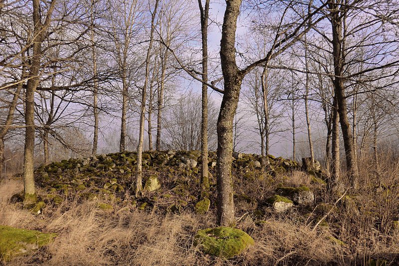 Moheda Archaeological Site