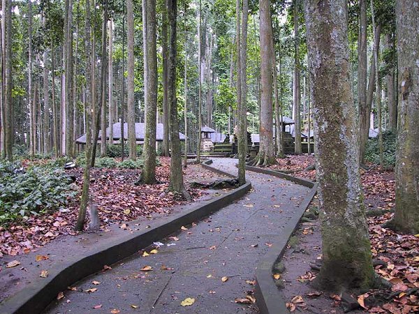 Sacred Monkey Forest, Ubud