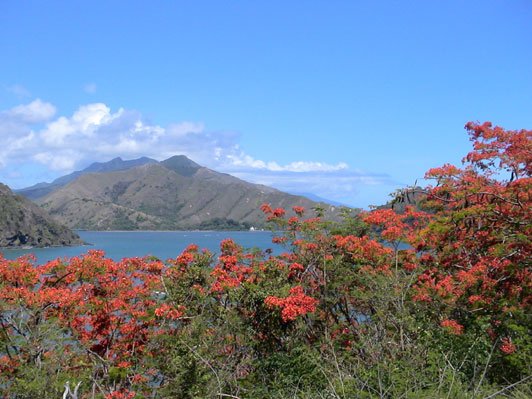 Mont Panie, New Caledonia