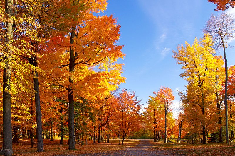 Mont Saint-Grégoire, Quebec